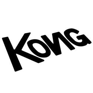 Kong Animation Studio