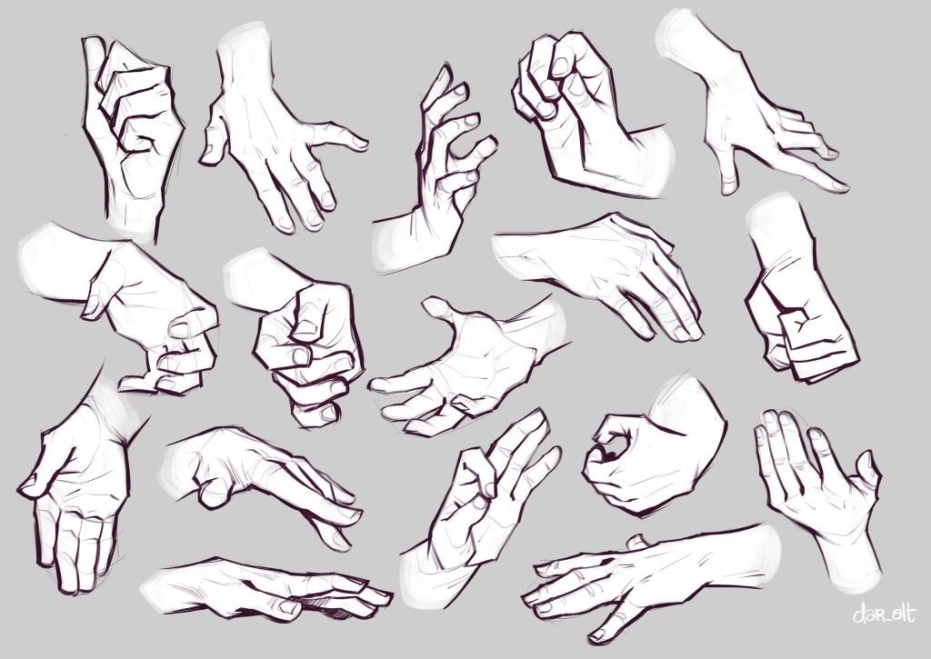 How to Draw Arms in Animation: Anatomy and Construction