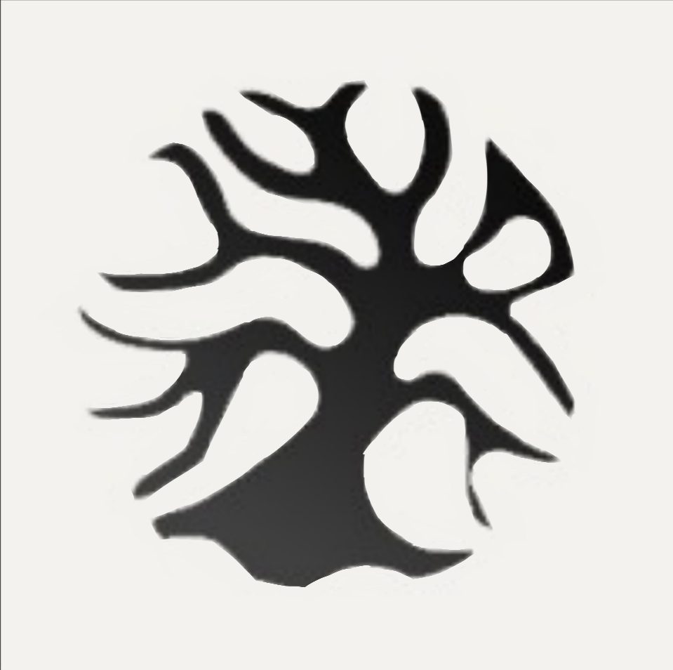 Elderwood Animation Studio