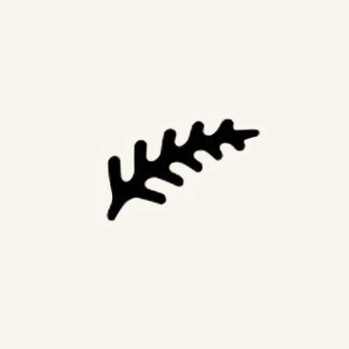 Fern.